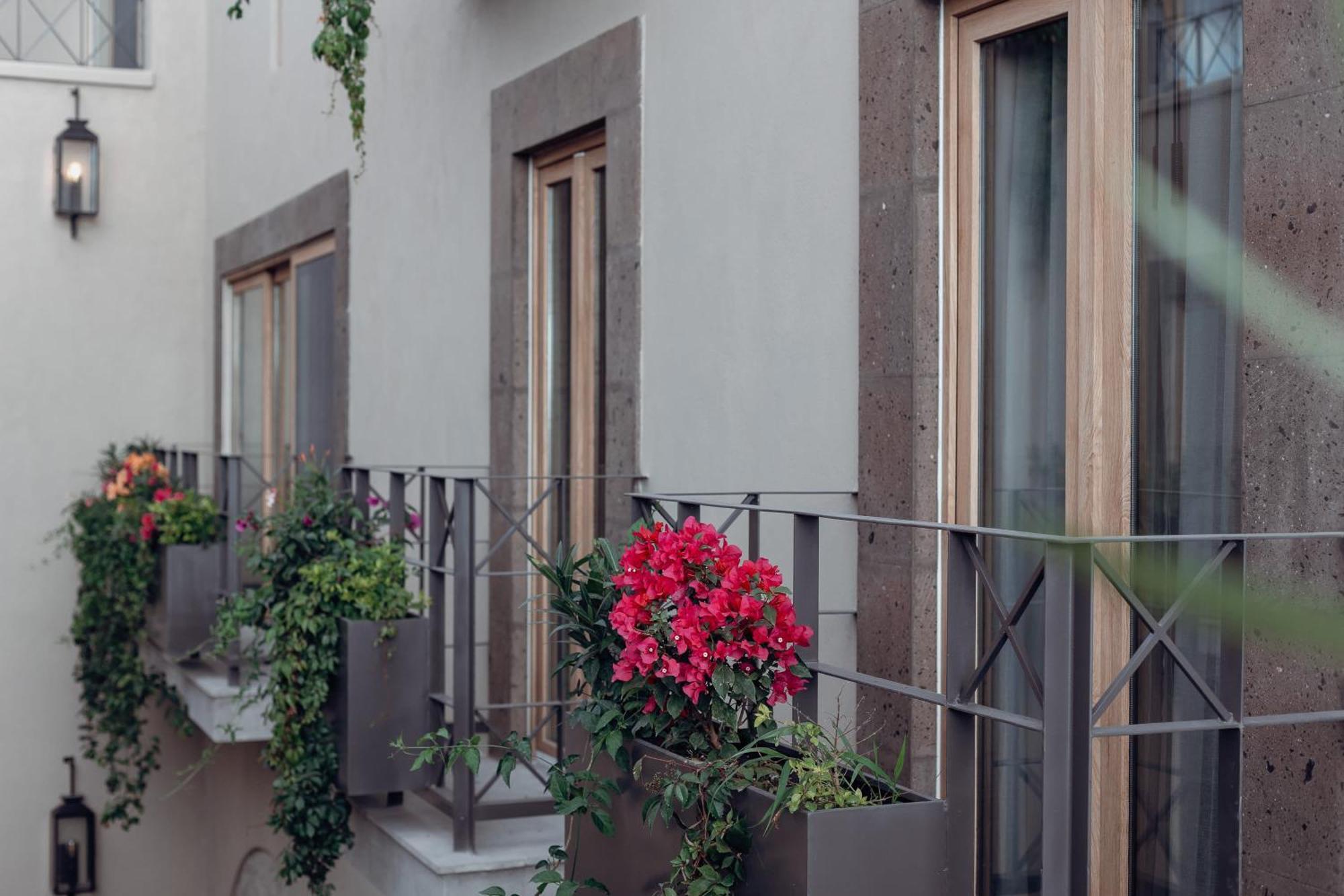 Le Cottage San Miguel De Allende, Modern Luxury In Centro With Pool & Jacuzzi Ngoại thất bức ảnh